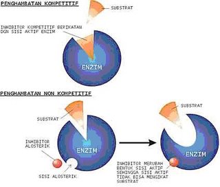 kerja enzim dihambat oleh inhibitor enzim inhibitor kompetitif dapat menghambat kerja enzim dengan cara